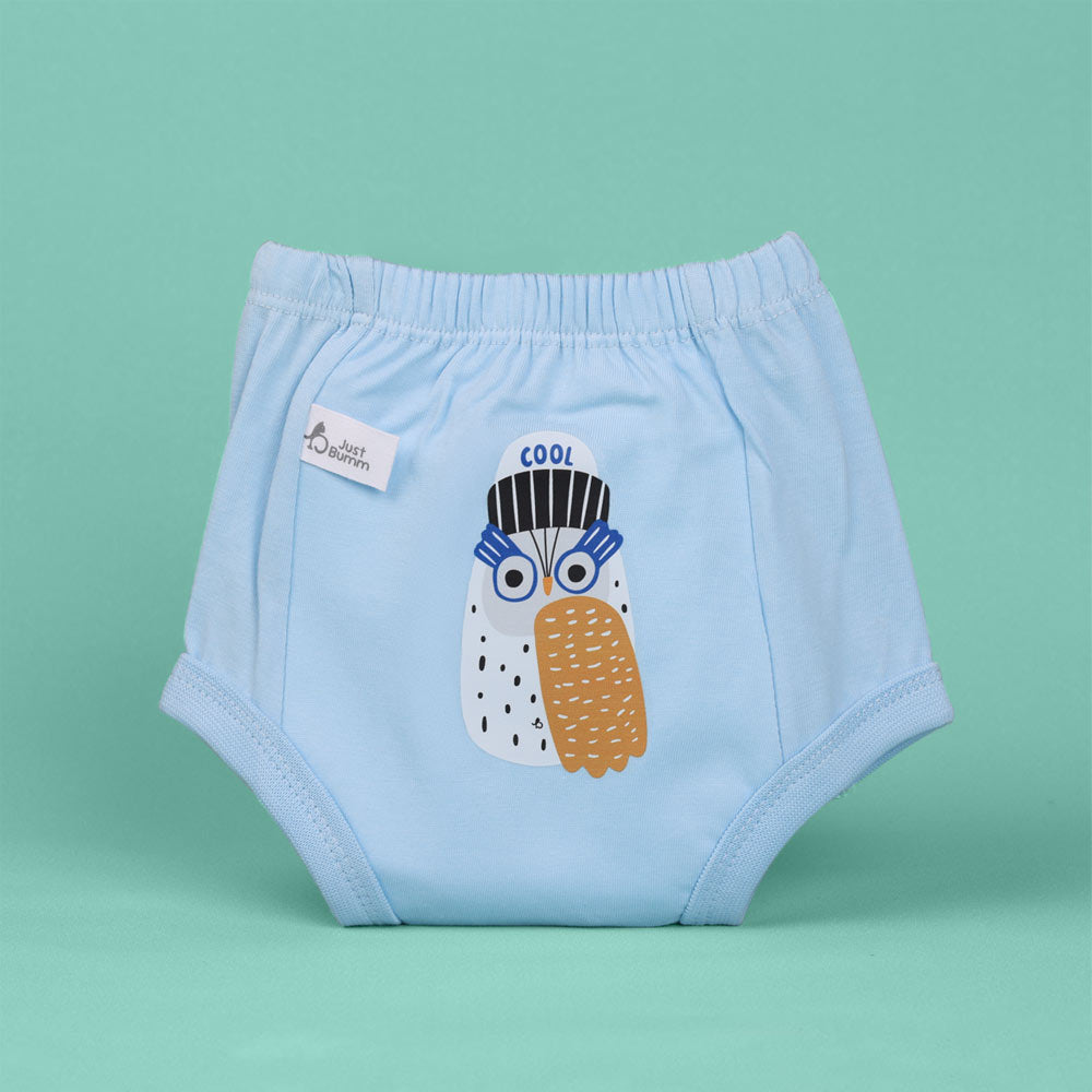 Potty Pants - Hip Hoot Padded Underwear for Toddlers